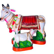 COW CALF